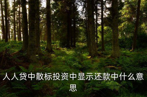 散標是什么意思，散標是什么
