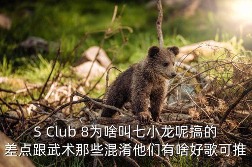 什么決定 空降 經理人，有一句歌詞是如果我沒記錯的話i never never never let you go英文