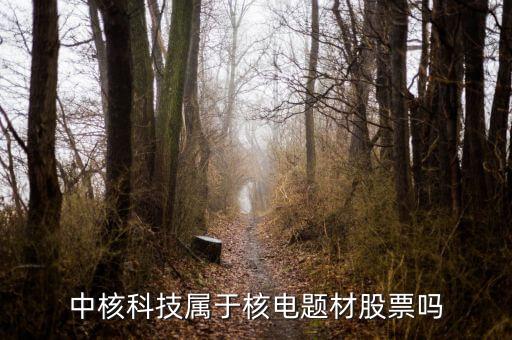 中核科技是什么板塊，中核科技屬于核電題材股票嗎