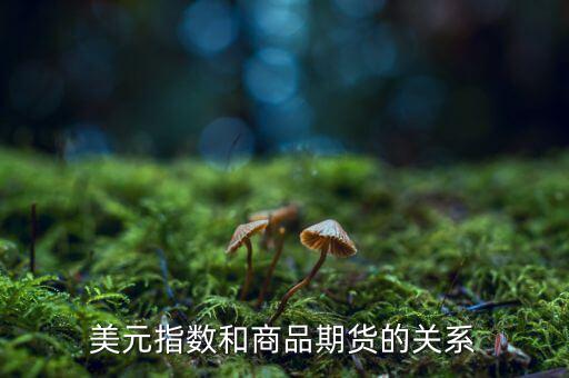 燃油指數(shù)和燃油期貨什么關(guān)系，美元指數(shù)和商品期貨的關(guān)系