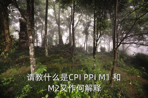 m2指數(shù)是什么，請(qǐng)教什么是CPI PPI M1 和 M2又作何解釋