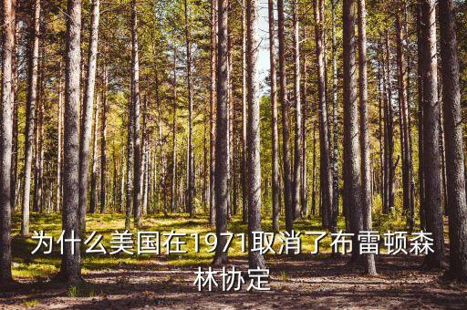 什么取代了布雷頓森林體系，布雷頓森林體系的產(chǎn)生說明了