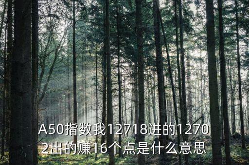 a50指數(shù)1510是什么，A50指數(shù)我12718進的12702出的賺16個點是什么意思