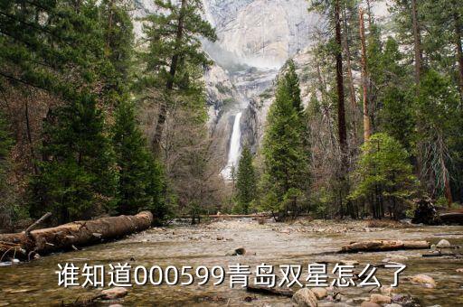 青島雙星什么時(shí)候復(fù)牌，000560各位大神知道啥時(shí)候復(fù)牌