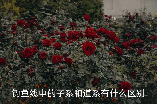 大道子線是什么意思，大道趨勢(shì)理論子線是多少日均線