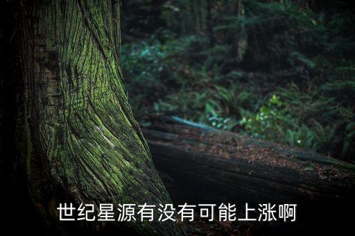 世紀星源股為什么不會漲，世紀星源有沒有可能上漲啊
