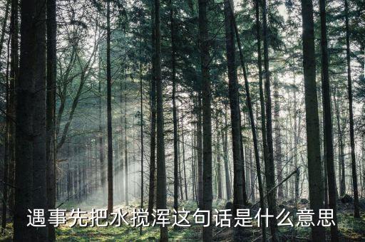 攪渾水什么意思，遇事先把水?dāng)嚋嗊@句話是什么意思
