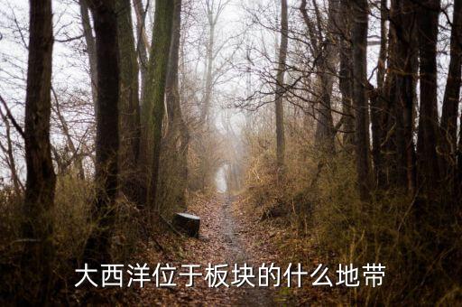 大西洋是什么板塊，大西洋位于板塊的什么地帶