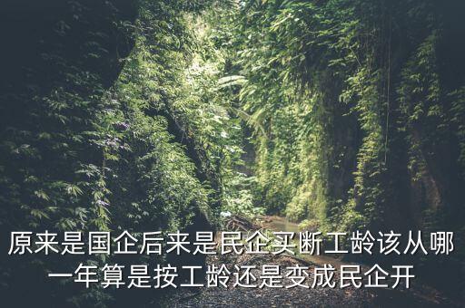 廣西貴糖什么時(shí)候變私企，廣西在什么時(shí)候開始變得落后起來的原因是