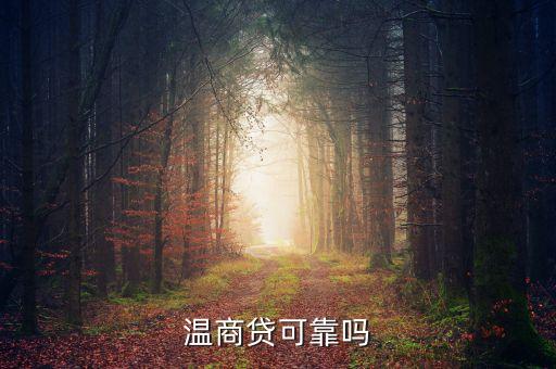 溫商貸是什么東西，溫商貸是真的嗎