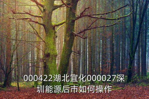 000027之前名什么，000422湖北宜化000027深圳能源后市如何操作