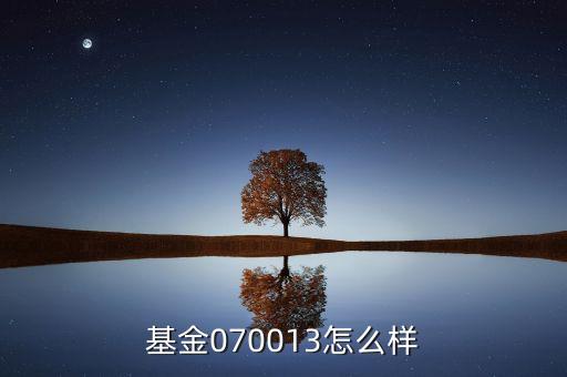 070013基金是什么基金，基金070013前面加of什么意思