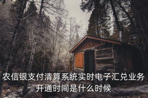 什么是特約電子匯兌，各位大神請問有誰知道建行卡交易明細(xì)清單上寫的特約匯融