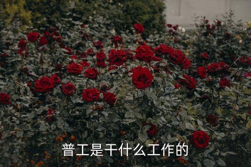st工新做什么的，STM操作工是做什么的