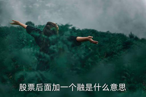 什么是一融雙新，股票后面加一個融是什么意思