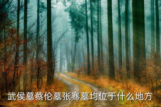 閩臺(tái)經(jīng)濟(jì)樞紐發(fā)行什么股票，龍之崛起貿(mào)易站數(shù)量