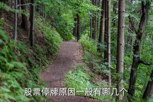 上工申貝為什么停牌，上工申貝出現(xiàn)缺口巨大后市如何