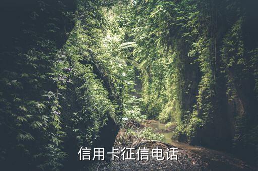申請(qǐng)信用卡征信會(huì)用什么電話打，辦信用卡征信上是一年前的手機(jī)號(hào) 銀行會(huì)打征信上的手機(jī)號(hào)碼嗎