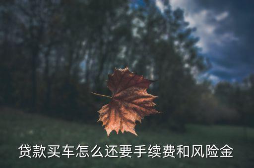 車貸風險金是什么怎么收費，我想貸款買車不知道風險擔保費是怎么計算的
