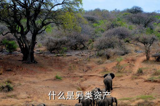 什么是另類投資，哪些項(xiàng)目屬于另類資產(chǎn)投資