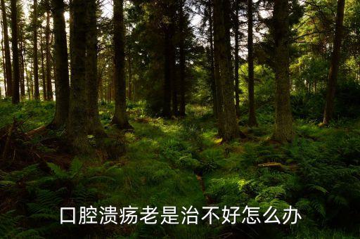 云南咖啡豆在什么時候采摘，云南小?？Х仍趺闯砸髥?/></a></span><span id=