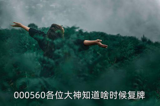 精功科技什么時(shí)候復(fù)牌，000560各位大神知道啥時(shí)候復(fù)牌