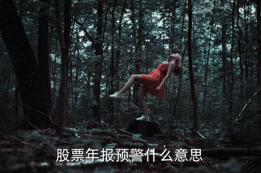 股票出年報(bào)什么意思，股票年報(bào)預(yù)警什么意思