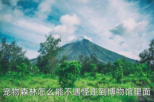 屠呦呦故居為什么在房產(chǎn)公司下面，實(shí)拍屠呦呦故居的視頻那個(gè)背景音樂(lè)叫什么名字