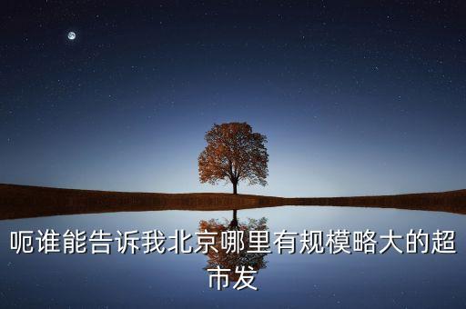 北京超市發(fā)有什么部門，呃誰能告訴我北京哪里有規(guī)模略大的超市發(fā)