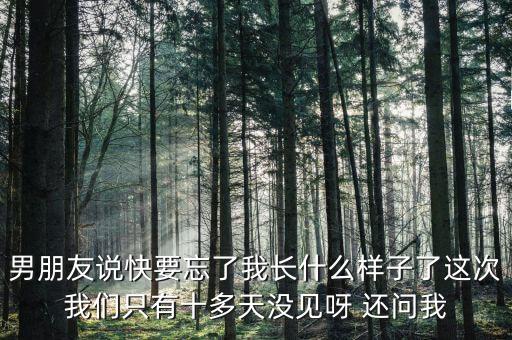 中國交通報(bào)快忘記老公長什么樣，最心酸請假條我都快忘記老公長什么樣子了