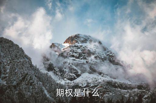 授予期權(quán)是什么意思，無(wú)償授予股票期權(quán)是什么意思