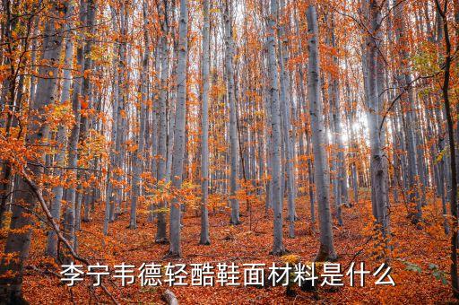主角鋁材什么價格，沉默是金 議論文 求材料