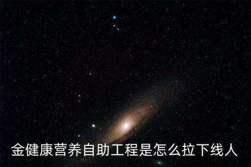 金健康是通過什么方式賺錢，金健康營養(yǎng)自助工程是怎么拉下線人