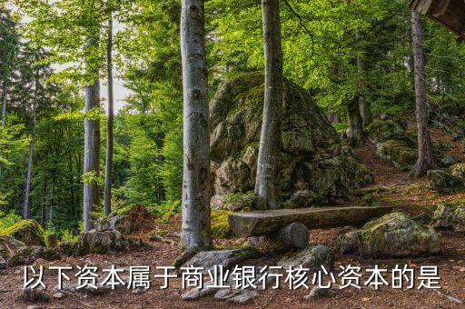 商業(yè)銀行核心資本是什么，商業(yè)銀行的核心資產(chǎn)包括哪些謝謝