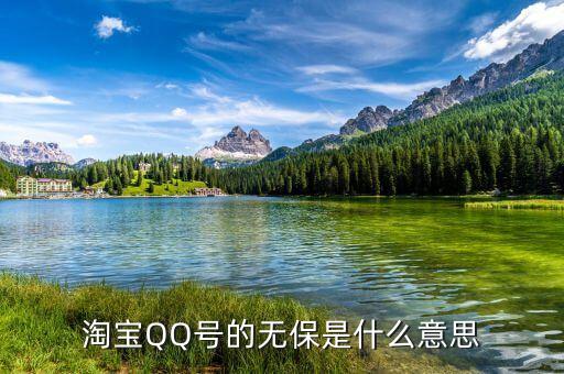 淘寶不保單是什么意思，在淘寶網(wǎng)的的QQ無保是什么意思啊