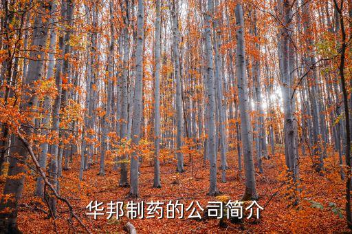 華邦制藥有什么產(chǎn)品，華邦制藥的企業(yè)理念
