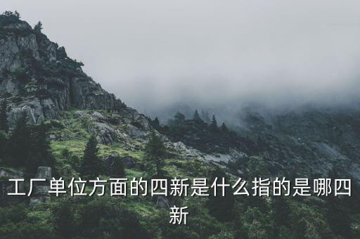 四新企業(yè)是什么，工廠單位方面的四新是什么指的是哪四新
