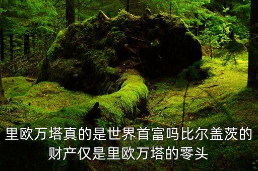 杜邦家族是干什么的，里歐萬塔真的是世界首富嗎比爾蓋茨的財(cái)產(chǎn)僅是里歐萬塔的零頭