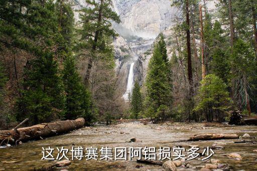 博賽集團(tuán)阿壩鋁廠有些什么部門(mén)，這次博賽集團(tuán)阿鋁損實(shí)多少