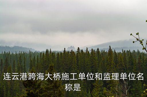 中交二航局什么平大橋，泰州長(zhǎng)江公路大橋施工單位是