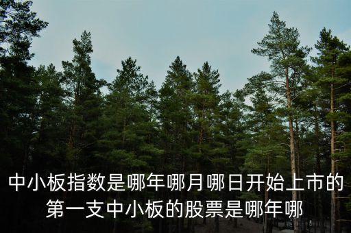 上證a股000002什么時(shí)候上市的，中小板指數(shù)是哪年哪月哪日開(kāi)始上市的第一支中小板的股票是哪年哪
