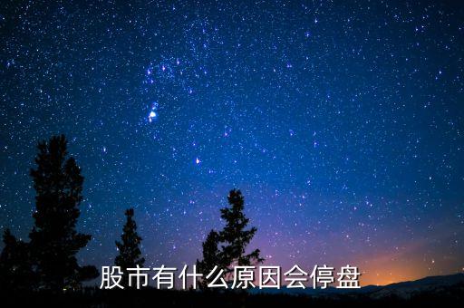 002203為什么停盤，股市有什么原因會(huì)停盤
