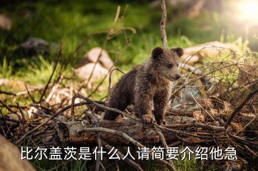 比爾蓋茨是個(gè)什么樣的人，比爾蓋茨是什么族裔的人