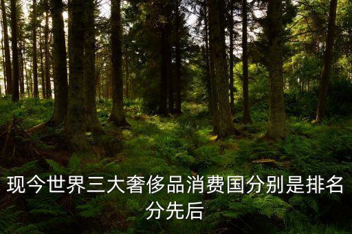 中國人在海外什么國家購買奢侈品，現(xiàn)今世界三大奢侈品消費國分別是排名分先后