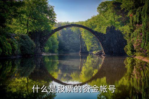 炒股資金賬號什么意思，請問炒股證券資金賬號是什么