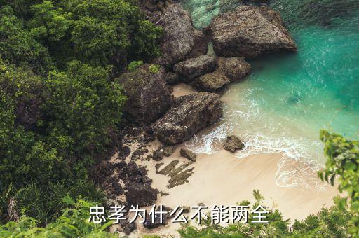 忠孝不能兩全是什么意思，對象突然和我說忠孝不能兩全什么意思