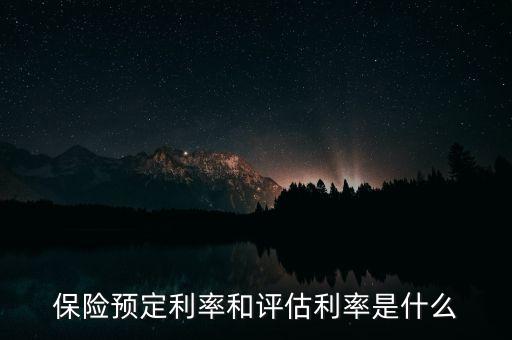 保險(xiǎn)定價(jià)利率是什么，定價(jià)利率是什么意思