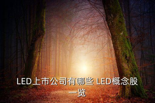 上市公司鴻什么視訊，視訊行業(yè)有哪些公司