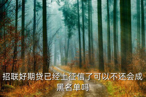 好期貸上征信怕什么，在招聯(lián)好期袋貸上面借錢都有按時(shí)歸還會(huì)上征信嗎會(huì)不會(huì)對(duì)以