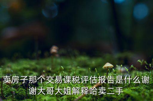 交易課稅是什么意思，名詞解釋證券交易稅